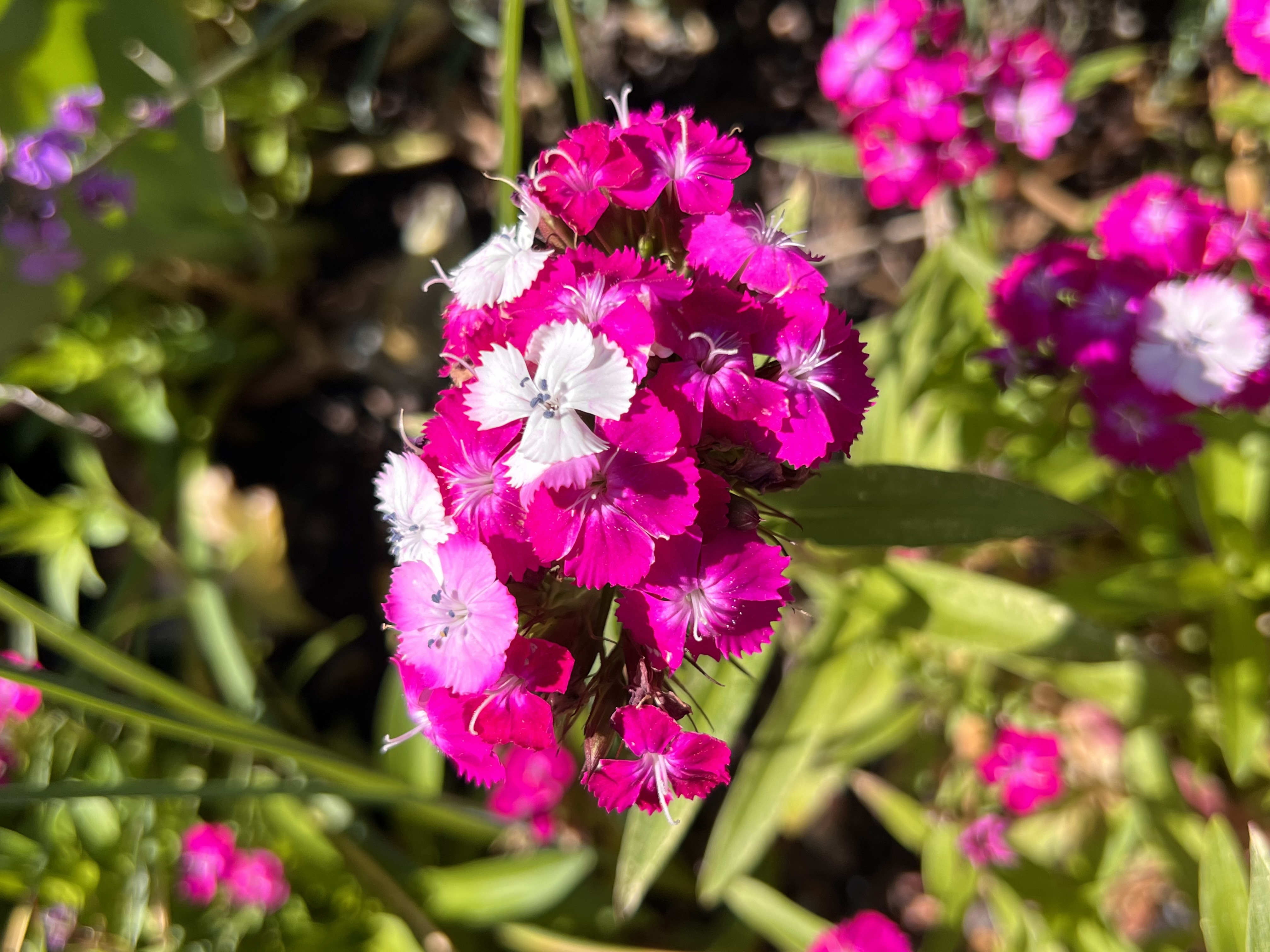 ./2023/05 - Toni Adventures/IMG_3202.JPG